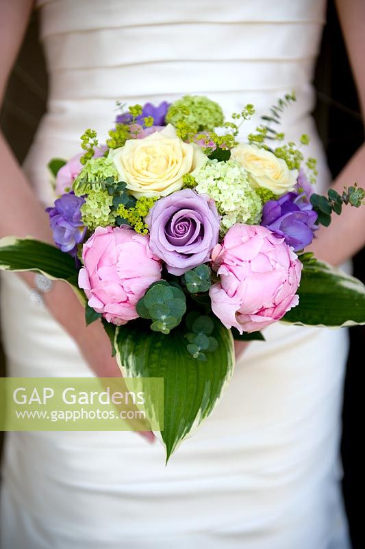 woman holding a bridal bouquet of cream and purple roses and pink peony with hosta leaves