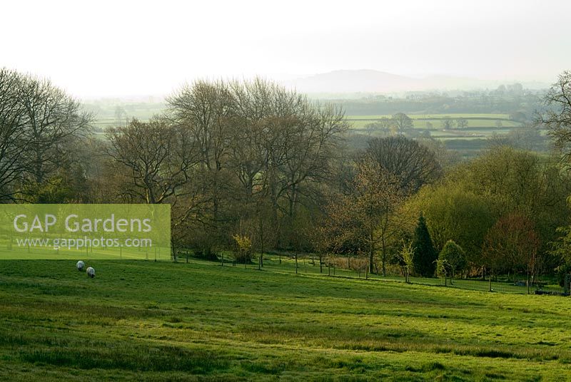 Outline of Duncliffe Hill seen across the Blackmore Vale from the elevated path to the woodland garden. Chiffchaffs, nr Bourton, Dorset, UK