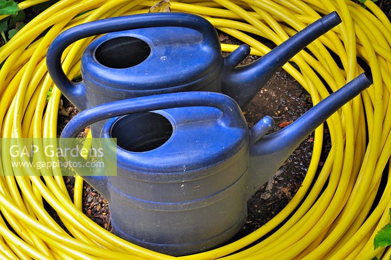 Blue watering cans and yellow hosepipe