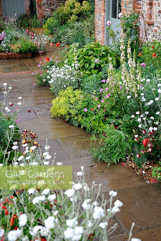 Courtyard style garden with cottage garden flowers and flagstone pathway, Norfolk, England, June