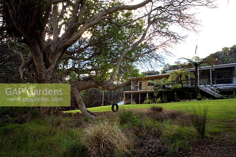 Looking towards house with Vitex lucens - Puriri tree, left, and Cyathea dealbata