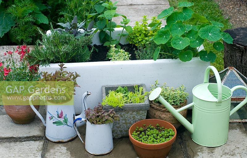 Group of containers, including butler sink planted with  herbs and watering can