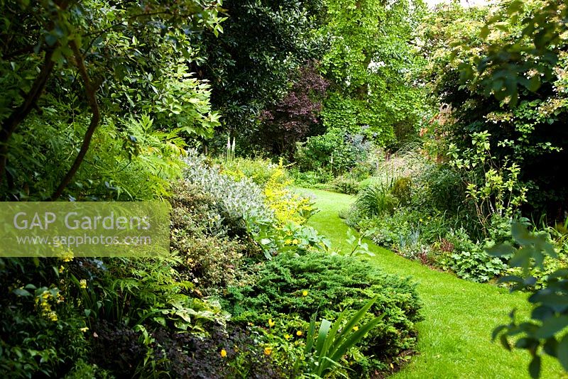 Informal garden with curved borders - Holbeach Hurn, Lincolnshire, UK, June 

