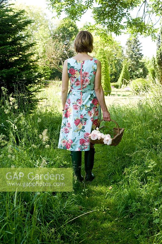 Rear view of woman in floral dress walking in country garden with trug of Roses
