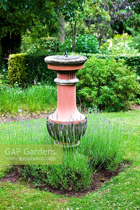 Sundial underplanted with Lavandula - Lavender - The Laskett, near  Hereford, Herefordshire, UK. Private garden of Sir Roy Strong. June