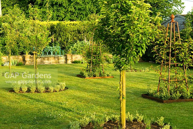 The crab apple lawn features Malus 'Golden Hornet' and Rosa 'The Generous Gardener' syn. 'Ausdrawn' growing up metal obelisks - Old Rectory, Kingston, Isle of Wight, Hants, UK