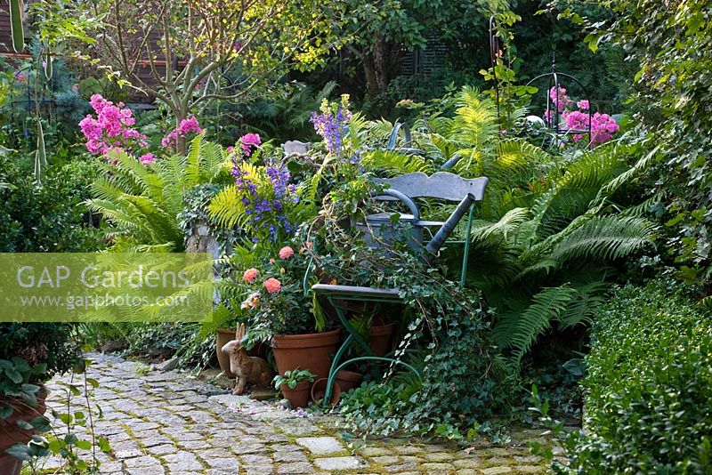 Romantic scenery with paved pathway and tin watering can on an antique chair next to Buxus, Hedera, Lobelia siphilitica, Matteucia struthiopteris and Phlox paniculata
