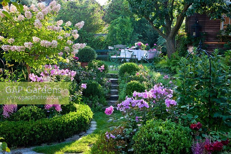 Steps lead through box edged borders to a dressed table on an upper level and the planting contains Astilben, Buxus, Hydrangea macrophylla, Hydrangea paniculata and Phlox paniculata
