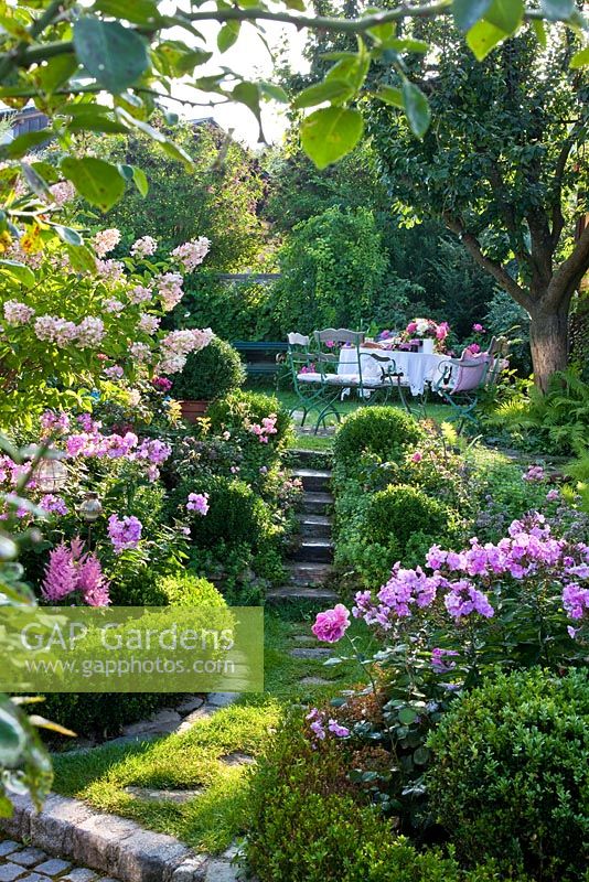 A pathway and steps that lead through box edged borders to a sitting area on an upper level of the garden are framed with Astilben, Hydrangea paniculata and Phlox paniculata