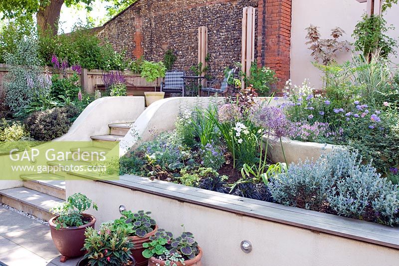 Sloping small modern garden with steps, white painted walls, terrace and tiered planting