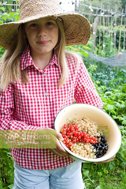 Girl holding enamel bowl of freshly picked Ribes rubrum, Ribes nigrum - Red, White and Black currants
