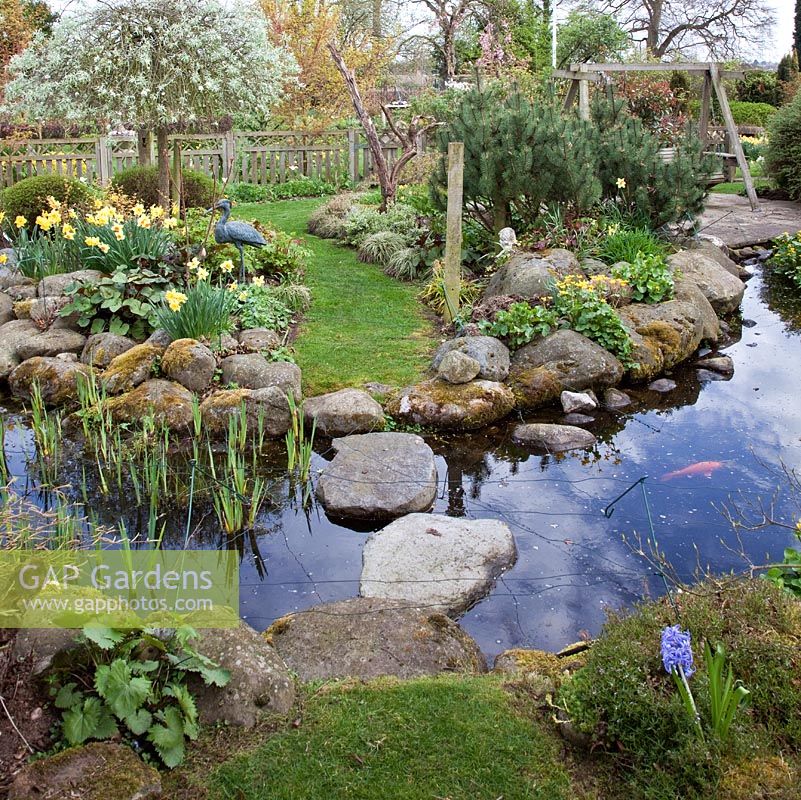 Pond rockery pool with stepping stones in Spring early April at the Millenium Garden (NGS) Lichfield Staffordshire England UK