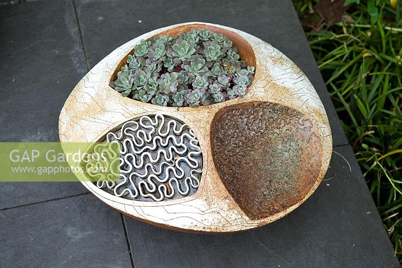 Stoneware pot made by Gordon Cooke with Sedum - Poplar Grove