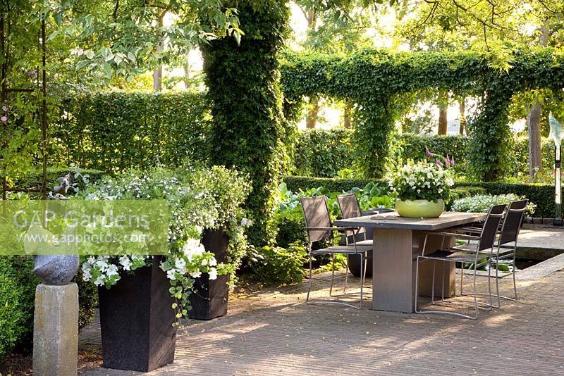 Dining area on patio with Parthenocissus - Virginia Creeper and Rosa on pergola. Lobelia and Petunia 'Viva' in pots - Lipkje Schat Garden