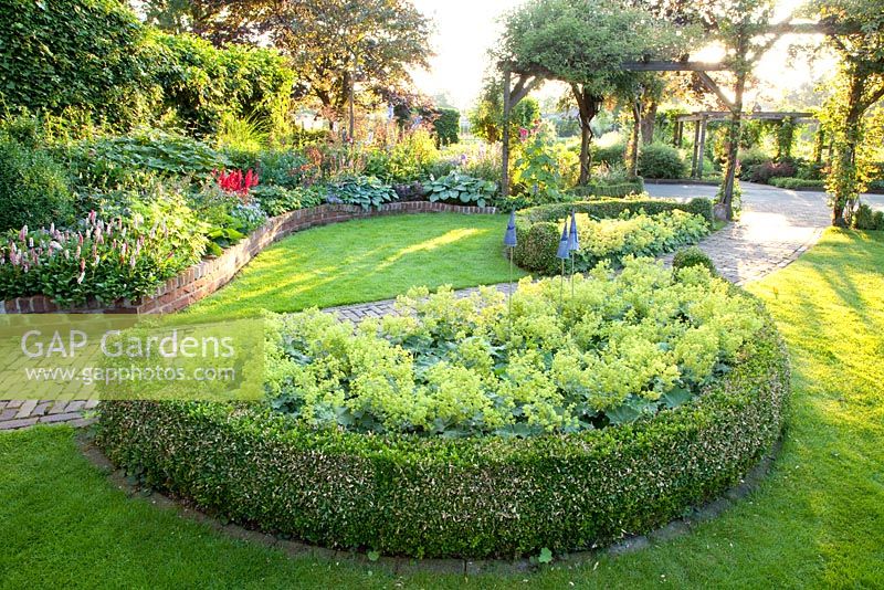 Garden with curved borders, pergolas and semi circular bed of Alchemilla mollis - Ladys Mantle with Buxus edging - Broekhuis Garden