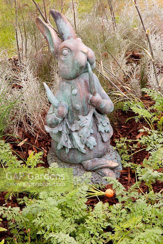 Rabbit statue of Peter Rabbit in vegetable patch with carrots