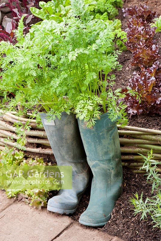 Carrots growing in wellies - 'When the Waters Rise' - Gold Medal winner, RHS Tatton Park Flower Show, Cheshire 2011, 