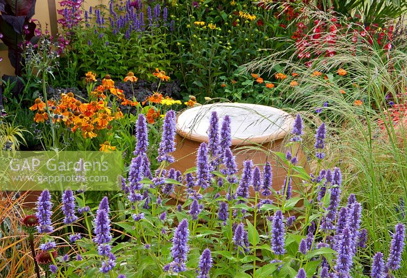 Water feature and Agastache 'Blue fortune', Eragrostis curvula  - African Love Grass, Helenium 'Waldtraut'. Painting with Plants' garden - Silver Gilt Medal winner, RHS Flower Show Tatton Park, Cheshire 2011 
