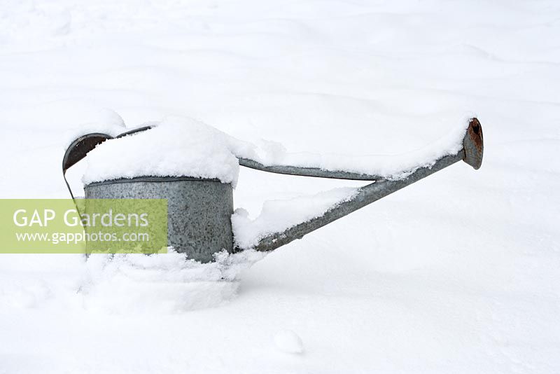 Metal watering can covered in snow