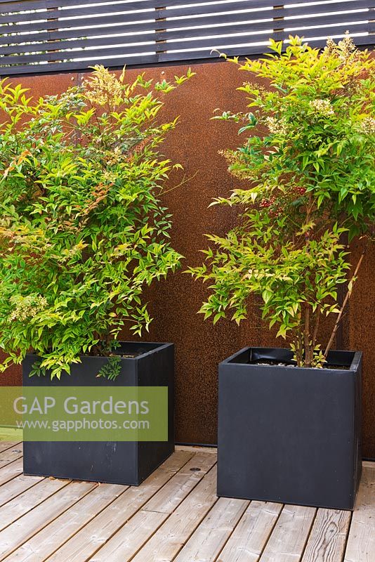Black containers on decking planted with Nandina domestica,  backed by screen made of mild steel
