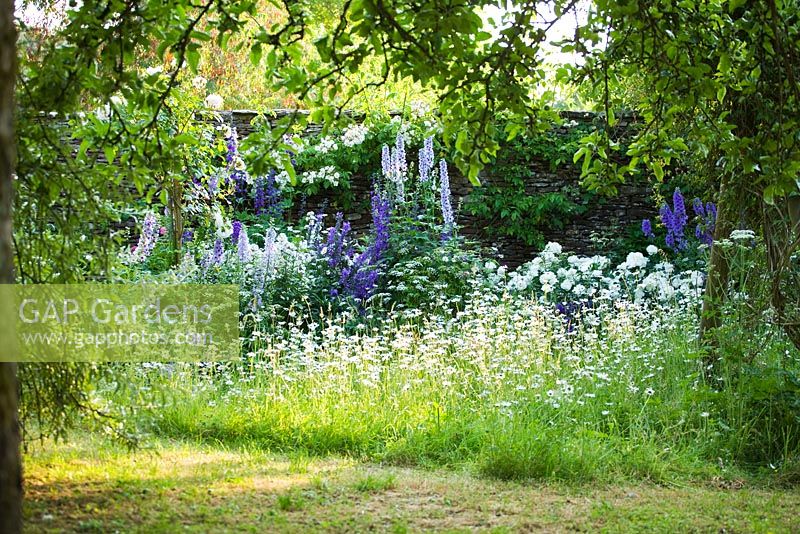 View from meadow area to blue and white themed border