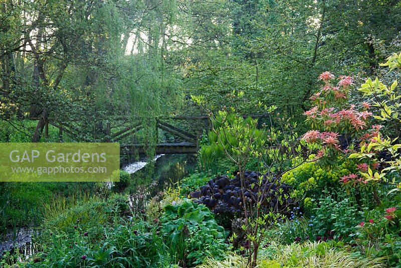 Bridge in country garden - Mallards, May 