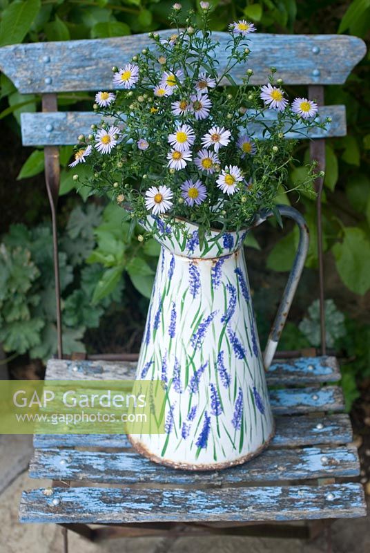 Michaelmas daisies in enamel jug on blue chair