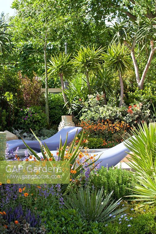 Contemporary furniture in Mediterranean style garden 