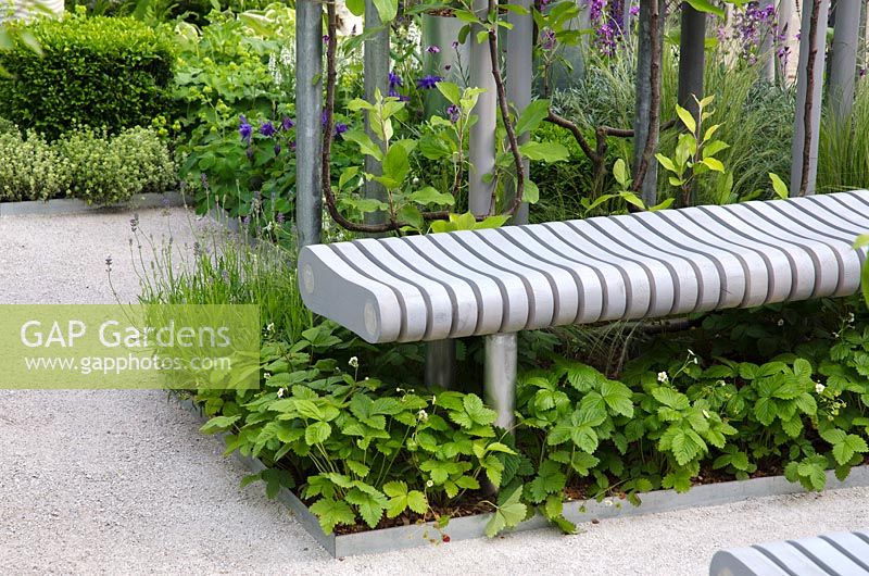 Minimal bench in The Doncaster Deaf Trust Garden - Silver Gilt Medal Winner, RHS Chelsea Flower Show 2011 
