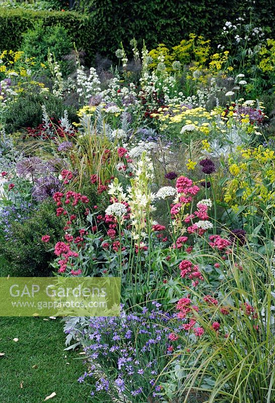 Early summer border planting 