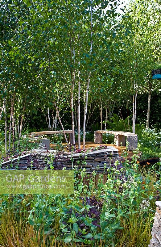 Wildlife garden with sculptural dry stone walls planted with Sempervivums, with seating area under Betula -Silver Birches in 'The Royal Bank of Canada with the RBC New Wild Garden' - Silver Gilt Medal Winner, RHS Chelsea Flower Show 2011

