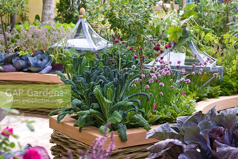 Vegetables and flowers including Brassica 'Nero di toscana' - Cavolo Nero  and Allium - Chives, growing in raised beds with woven willow and cedar wood edging - 'The M and G Investments Garden', Silver Gilt Medal Winner, RHS Chelsea Flower Show 2011 
