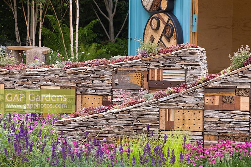 Sculptural drystone walls with built-in insect shelters and Sempervivum - Houseleeks planted on top - The Royal Bank of Canada with the RBC New Wild Garden, Silver Gilt Medal Winner - RHS Chelsea Flower Show 2011 