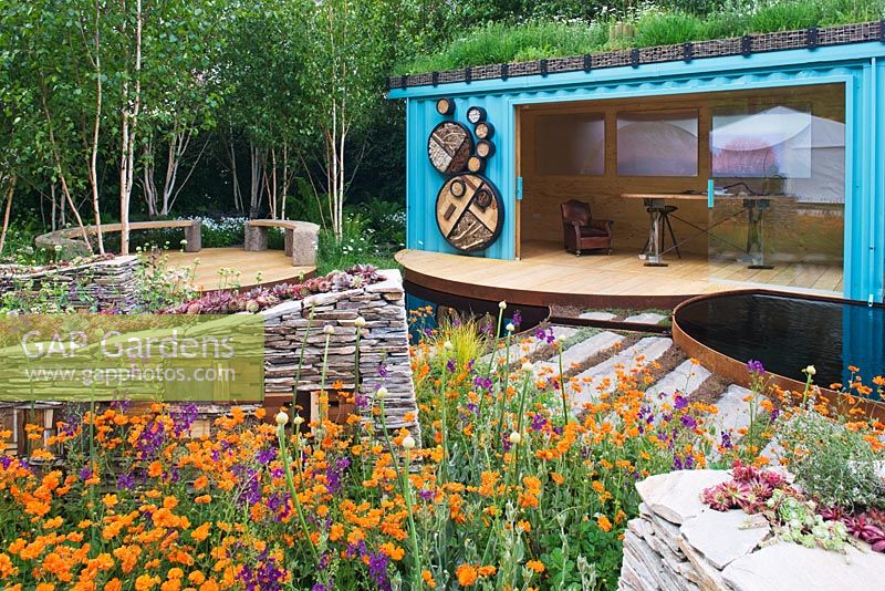 Wildlife garden with seating area under Betula - Silver Birches, garden office with 'living roof' made from a refurbished shipping container and sculptural drystone walls  with built-in insect shelters - 'The Royal Bank of Canada with the RBC New Wild Garden' - Silver Gilt Medal Winner, RHS Chelsea Flower Show 2011 
