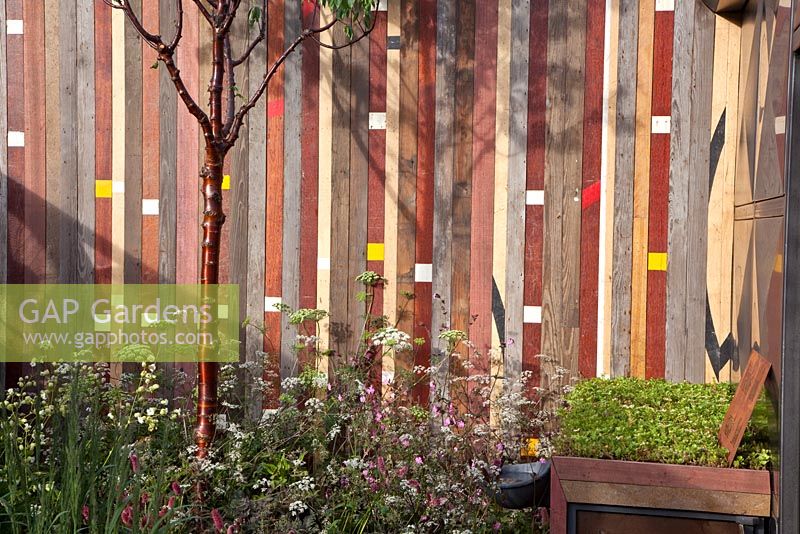 Wall made of recycled gym floor. 'Winds of Change'. Gold medal winner, RHS Chelsea Flower Show 2011