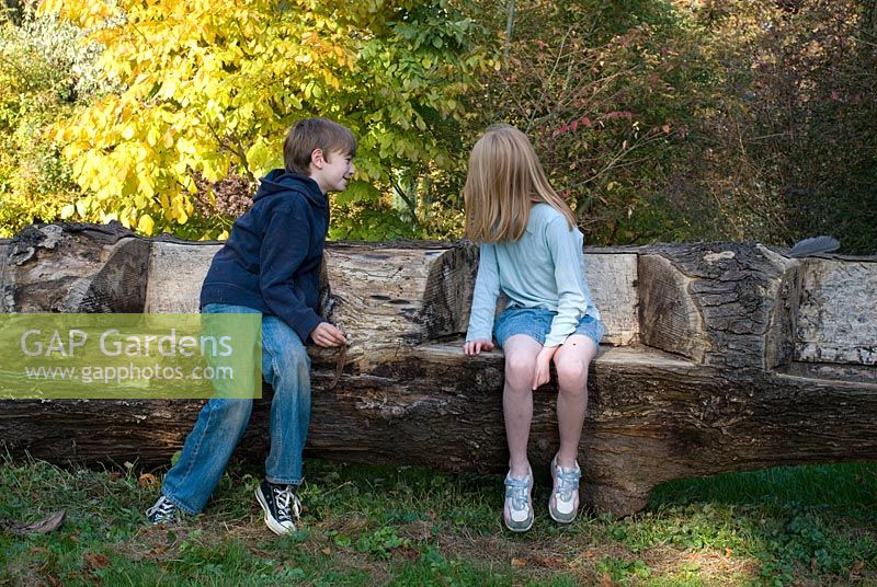 Children sitting on seats carved in a fallen tree trunk at Chippenham Park in Cambs in October on an NGS open day