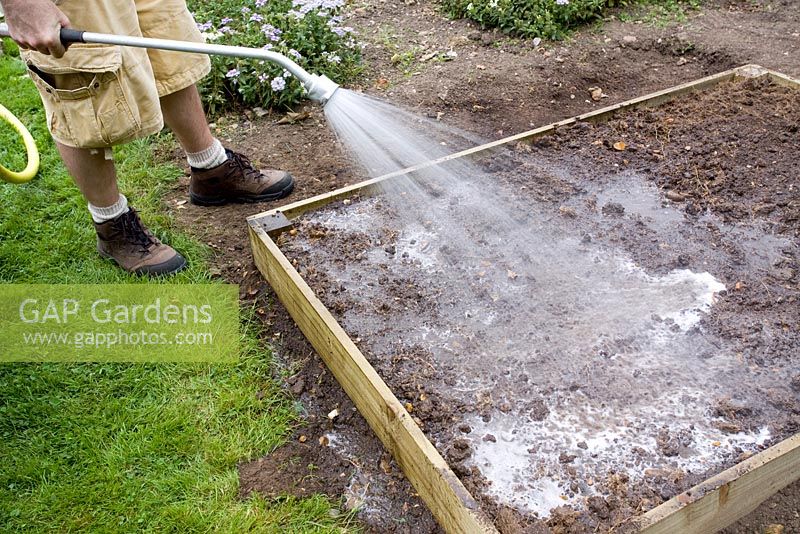 step by step, making a raised bed - watering before planting