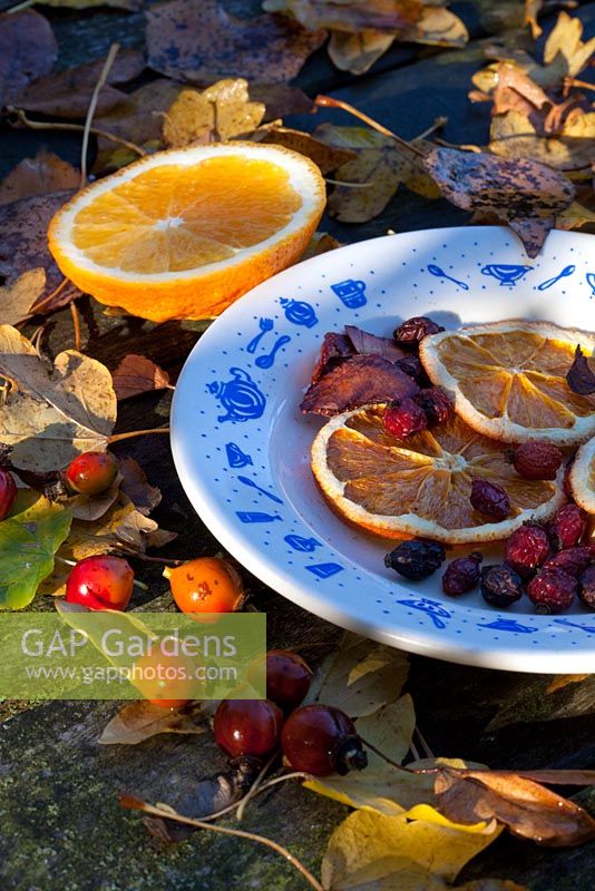 Dried and fresh fruit, and berries from the garden - The Cottage Smallholder, Suffolk, UK 
