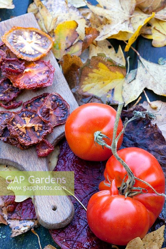 Newly harvested Tomatoes and dried ones from the garden - The Cottage Smallholder, Suffolk, UK 
