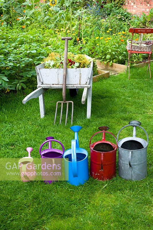 Different coloured watering cans in vegetable garden