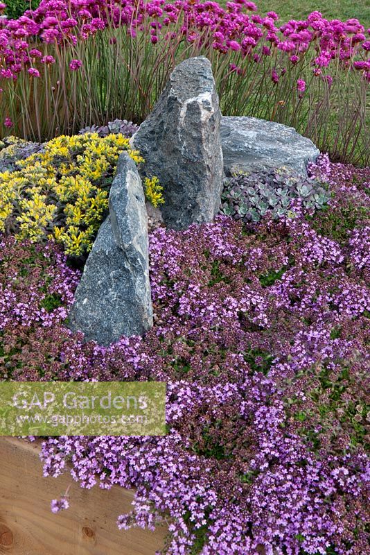 'From Laozi to Heisenberg' - Awarded Bronze Floral Medal - RHS Malvern Spring Gardening Show 2011