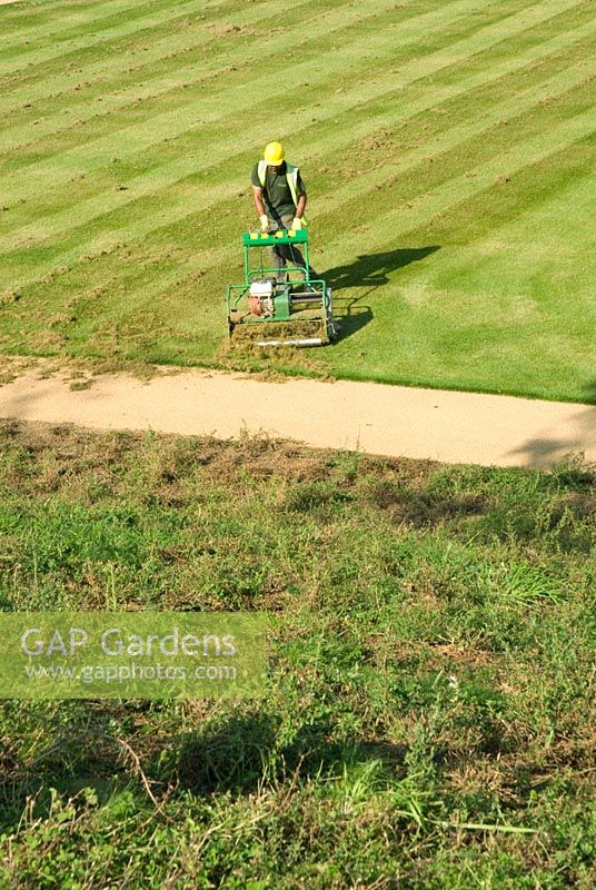 Preparing the lawns to sport's turf quality by removing moss and thatch from the grass with a petrol powered scarifyer, wildflower area in the foreground - Olympic Park, London,  September 2011