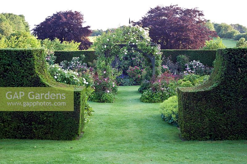 Rose-covered wooden arbor in country garden
