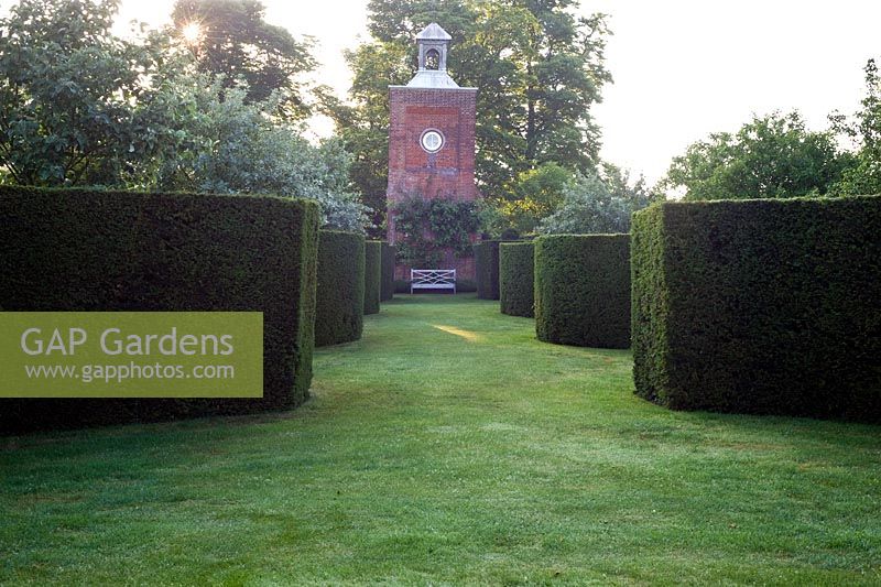 Avenue of curving Yew hedges leading to Clock Tower