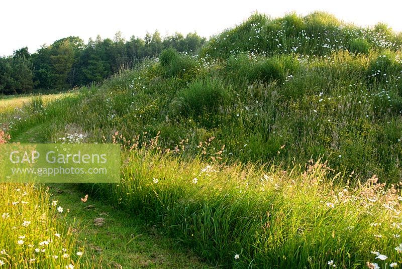 Millennium spiral mound created using spoil from pond. Private garden, Dorset, UK