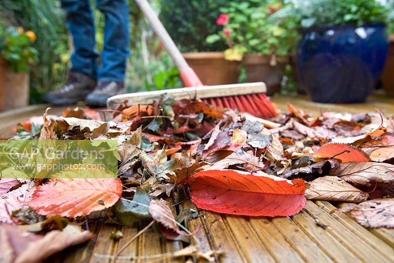 Sweeping leaves from decking