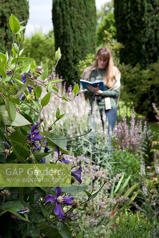 Woman making notes whilst visiting garden - blue Clematis in foreground