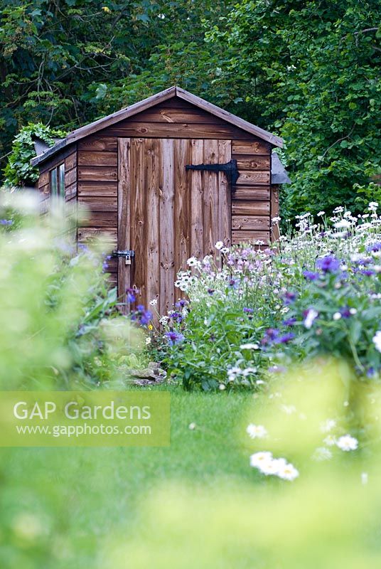 Garden shed surrounded by wildflowers