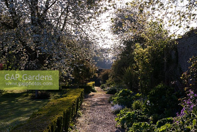 Path running along the South border surrounding the walled kitchen garden - Northcourt