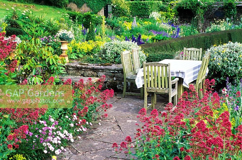 Dining table in upper terrace surrounded by Centranthus - Valerian - High Glanau Manor, Monmouthshire, Wales 